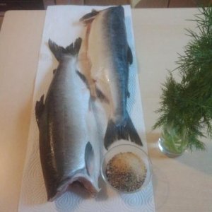IMG 20131214 144556