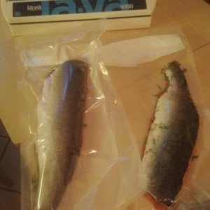 IMG_20131214_161546.jpg
