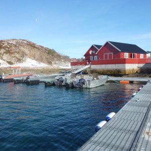 P1010572