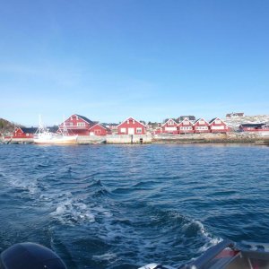 P1010590