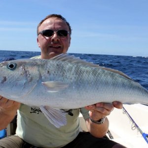 green jobfish
