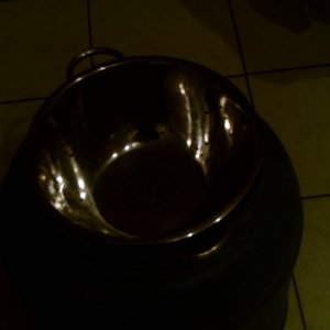 SUNP0029
