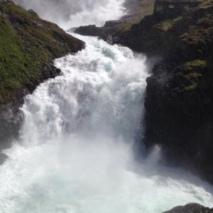 IMG 0695