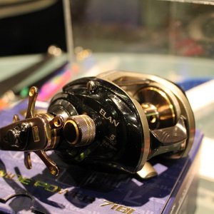 IMG 0485