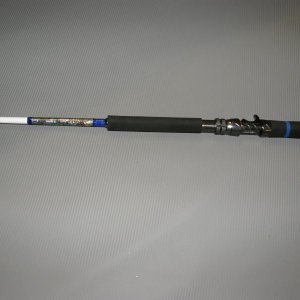 PC170008.jpg