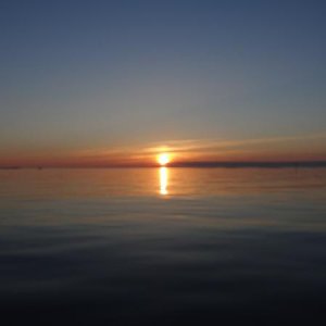 DSC00716