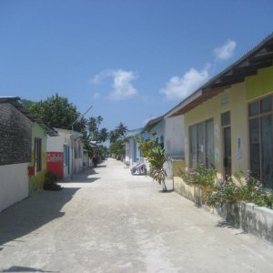 IMG 2965