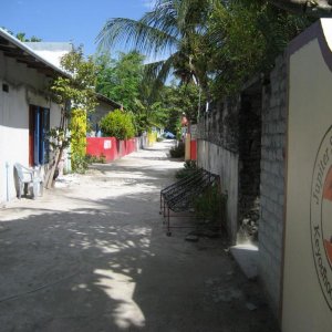 IMG 3145