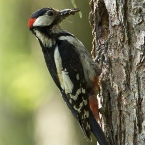 20120528-DSC06077.jpg