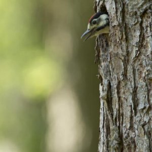 20120528-DSC06065.jpg