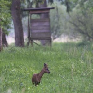 20120514-DSC05621.jpg