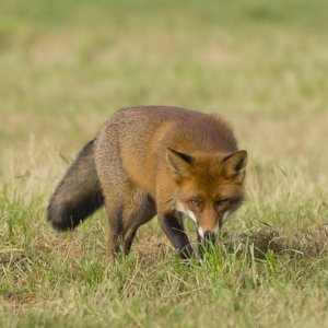 20121103-DSC02466.jpg