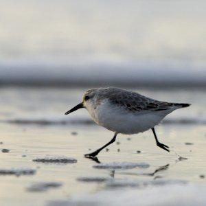 20121030 DSC01978
