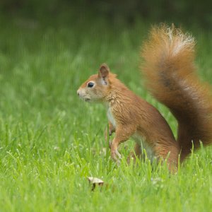 20130922-DSC03381.jpg