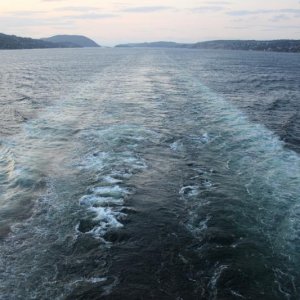 Auf Wiedersehen im nächsten Jahr