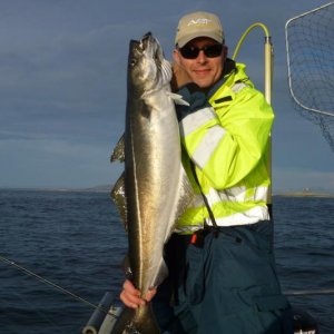 Strammer Flachwasserseelachs