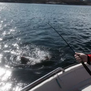 Foto 20.04.14 12 30 17