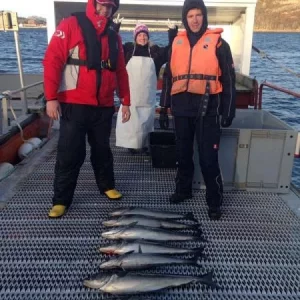 Foto 22.04.14 20 41 12