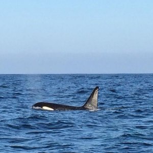 IMG 20140915 WA0021