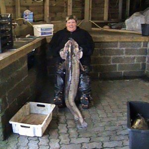 Stolmen 2011 010