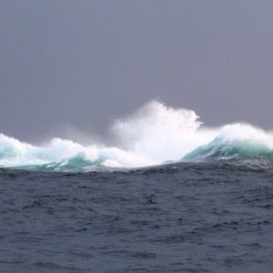 IMG 20140920 WA0013