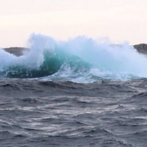 IMG 20140920 WA0011