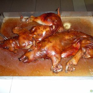 2014 10 NAF Reichenbach 15