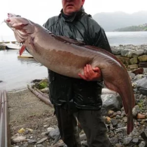 296august 2013 032 1