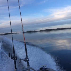 IMG 20150116 WA0031