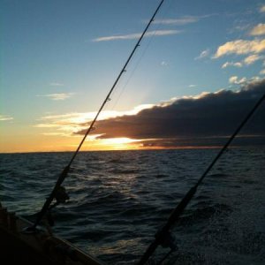 IMG 20150119 WA0002