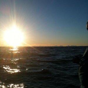 IMG 20150120 WA0017