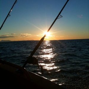 IMG 20150120 WA0018