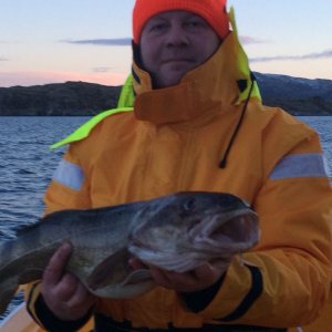 IMG 20150124 WA0036