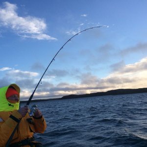 IMG 20150124 WA0030