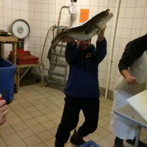 IMG 20150124 WA0024