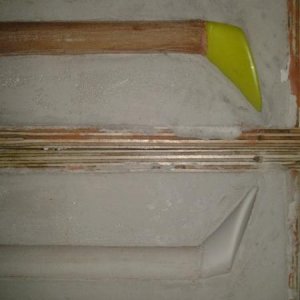 Nahaufnahme Schwänze