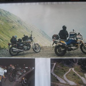 IMG 0806