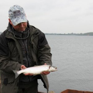 Meine erste Meerforelle