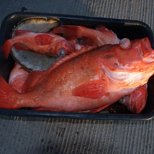 DSC03079
