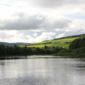 IMG 9941