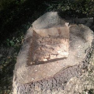 uploadfromtaptalk1442078535890