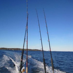 12166114 953294838042898 582001542 n