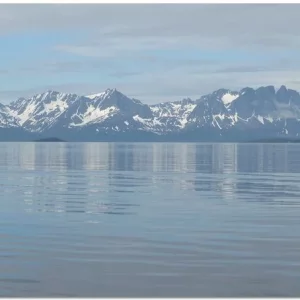 Norwegen Burfjord Juni 2013 296