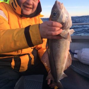 IMG 20160122 WA0014
