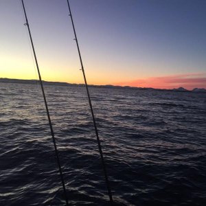 IMG 20160122 WA0016