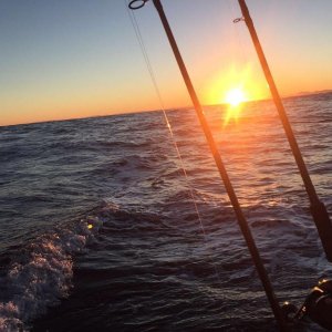 IMG 20160122 WA0022