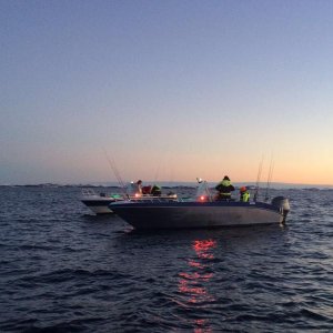 IMG 20160122 WA0027