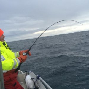 IMG 20160127 WA0016