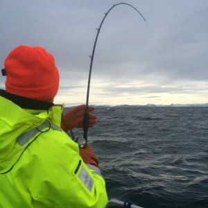 IMG 20160127 WA0018