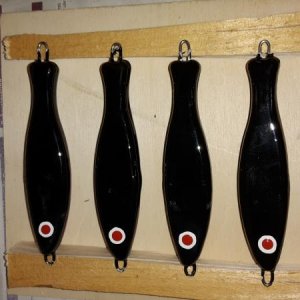 20160202 094559   Kopie